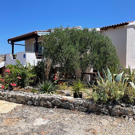 Holiday House Rusticana Sali, Dugi Otok Near Np Kornati Bagian luar foto
