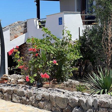 Holiday House Rusticana Sali, Dugi Otok Near Np Kornati Bagian luar foto